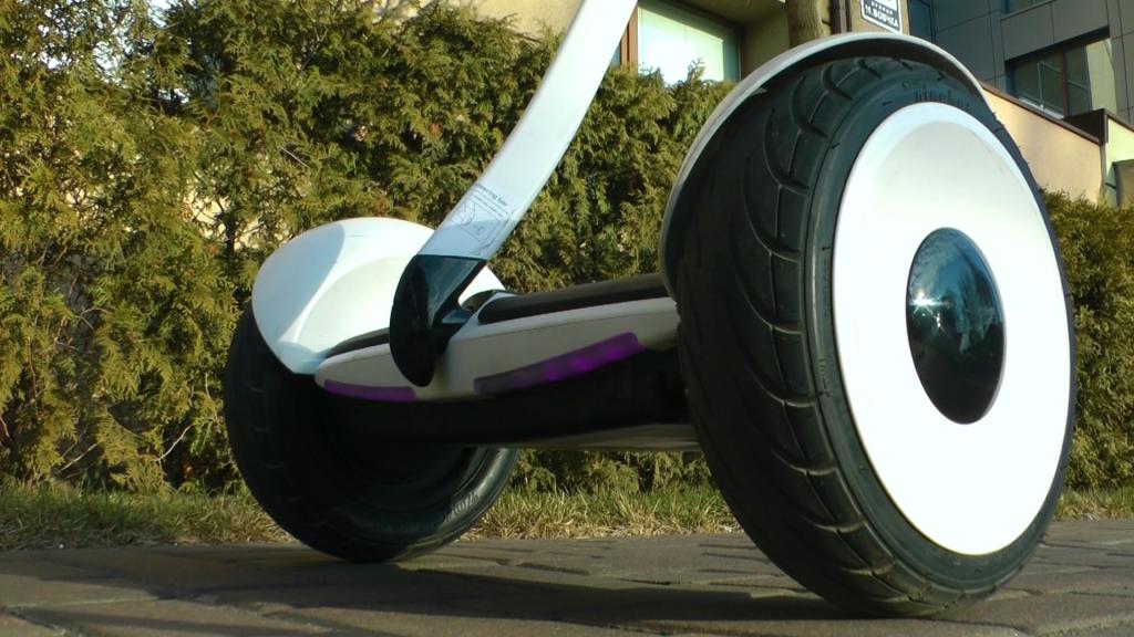 сигвей фото