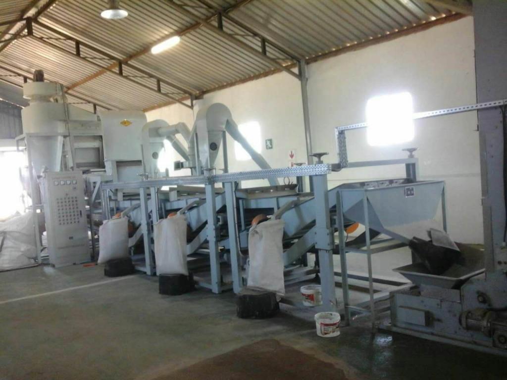 как очищают семечки подсолнуха на производстве