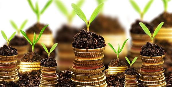 Денежные сбережения