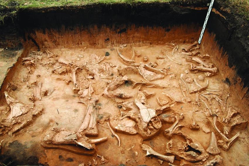 Ордер на проведение земляных работ