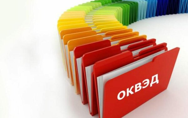 внести изменения в оквэд ип