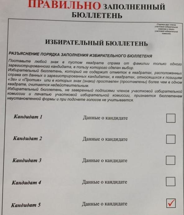 Пример избирательного бюллетеня