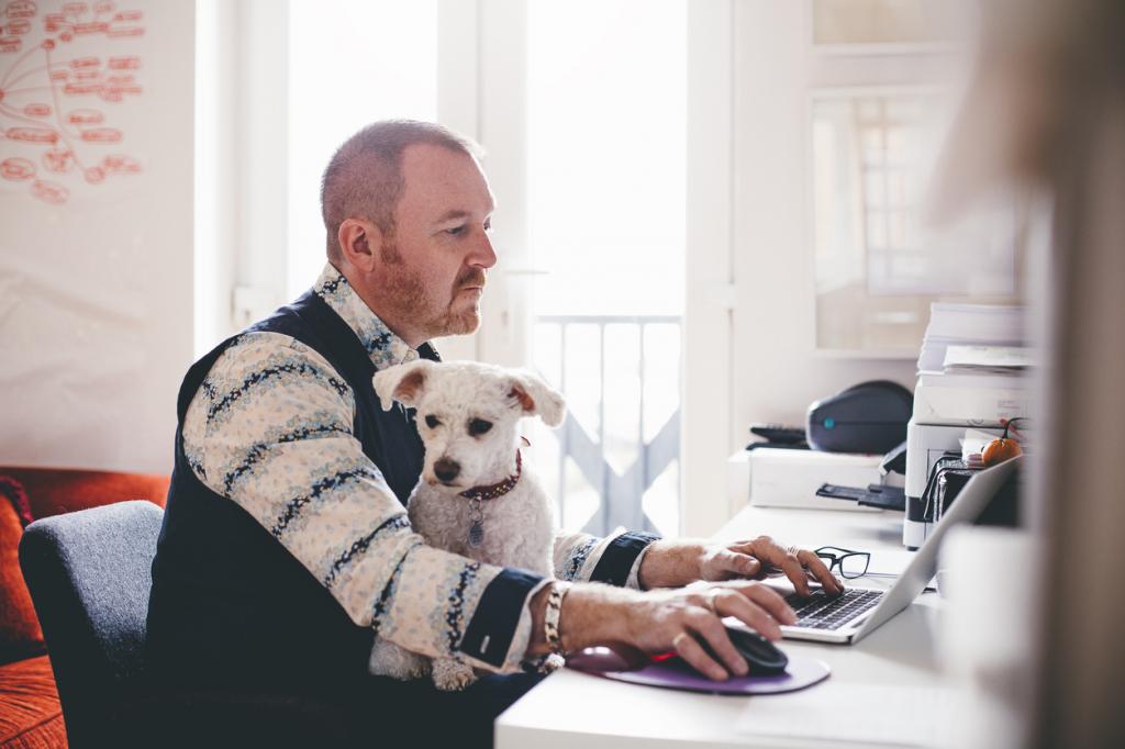 создать петицию для сбора голосов