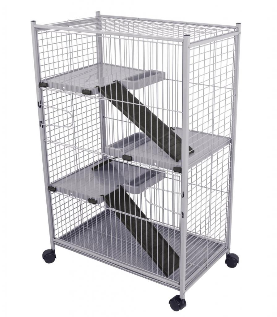 как разводить шиншилл